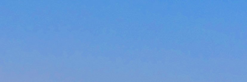 Dany banner