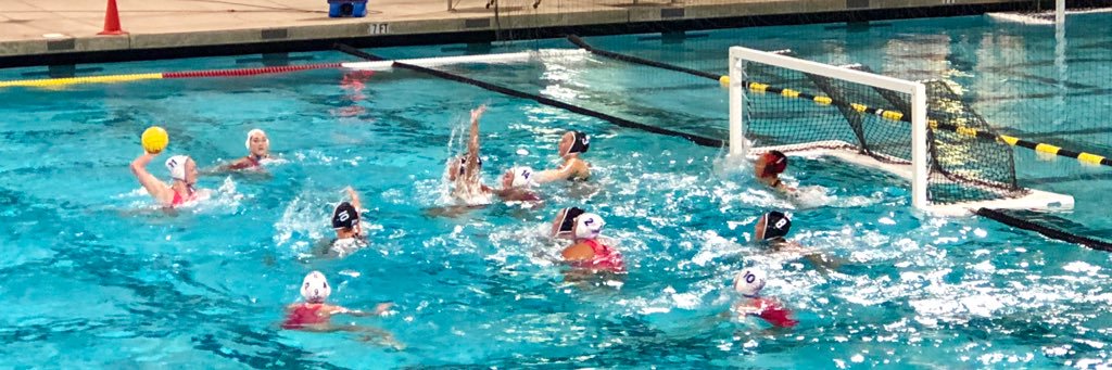 cdmpologirls's profile banner image