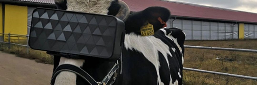 dbrunn83's profile banner image