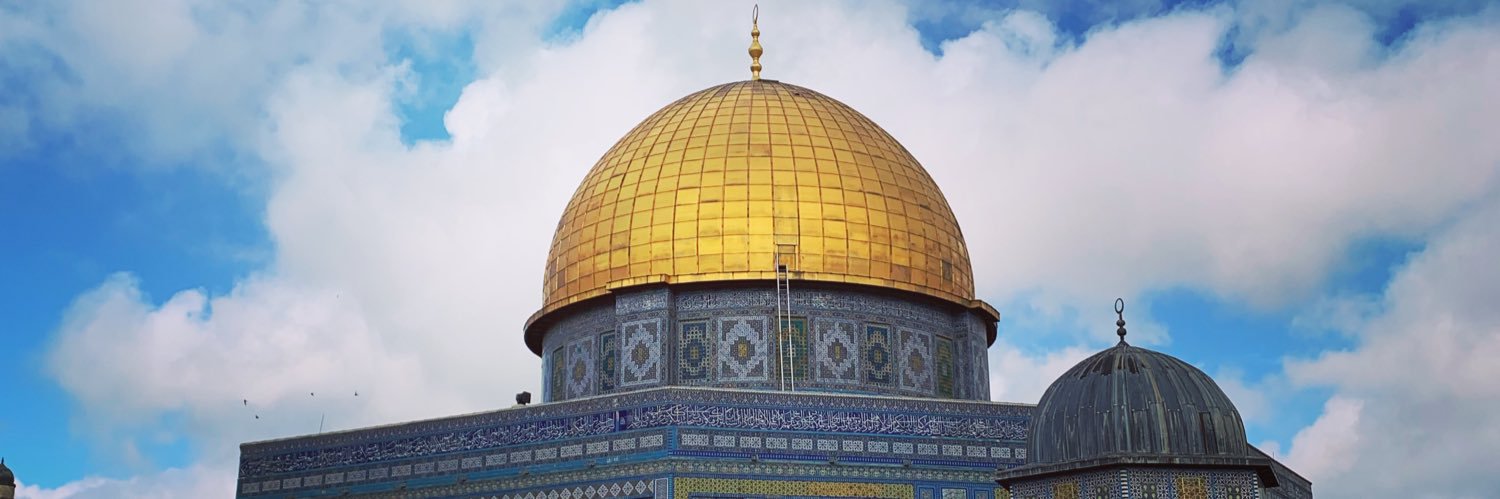 Cécile Galluccio banner