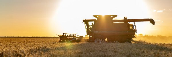 GrainGrowersLtd Profile Banner