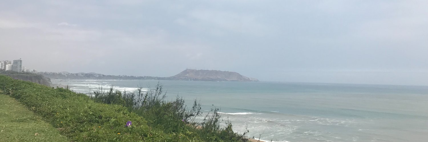 SusHelguero's profile banner image