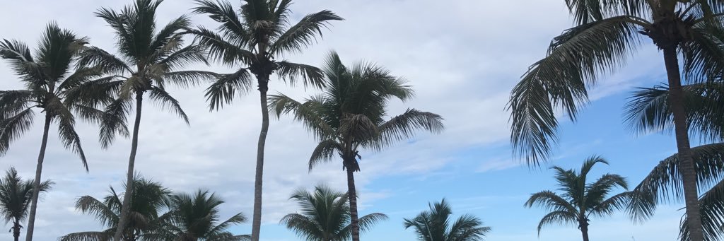 JassyFernandez's profile banner image