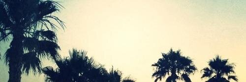 1517alexa's profile banner image
