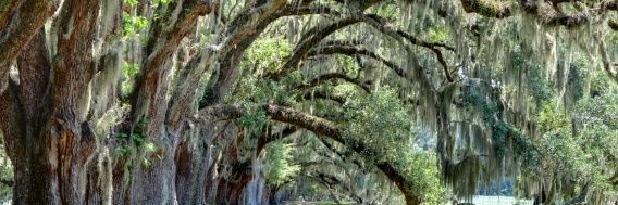 SOcean 🇺🇸🇮🇱 banner