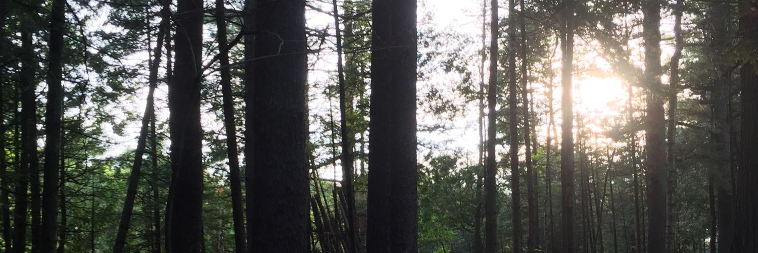 JessReishus's profile banner image