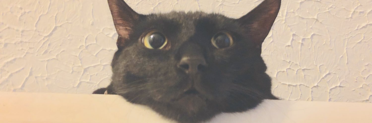 Callikinss's profile banner image
