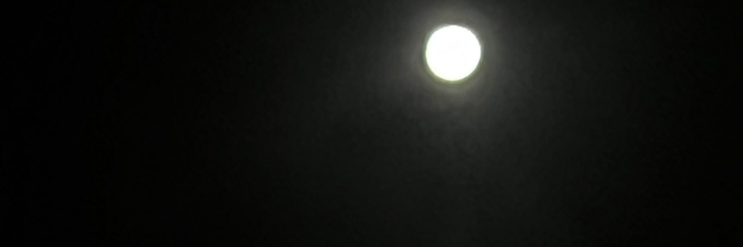 Heidi__sb's profile banner image