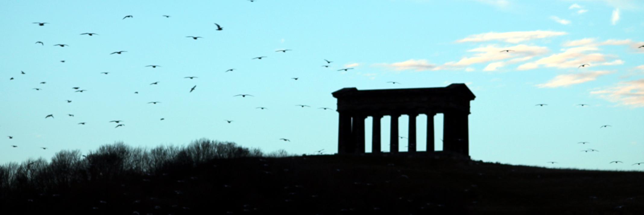 jackie chapman banner