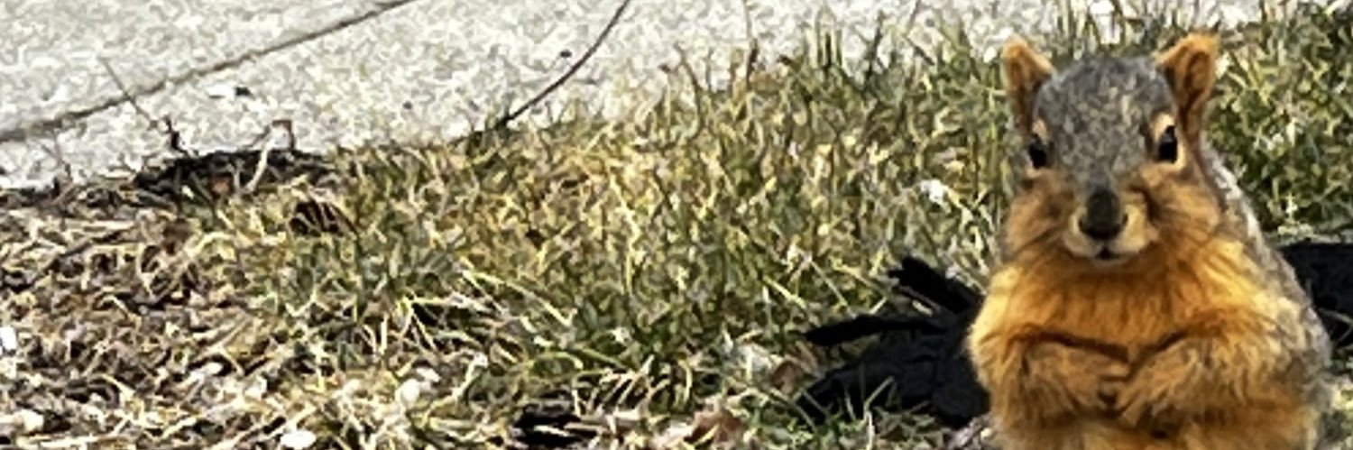 joscelyn kooistra banner