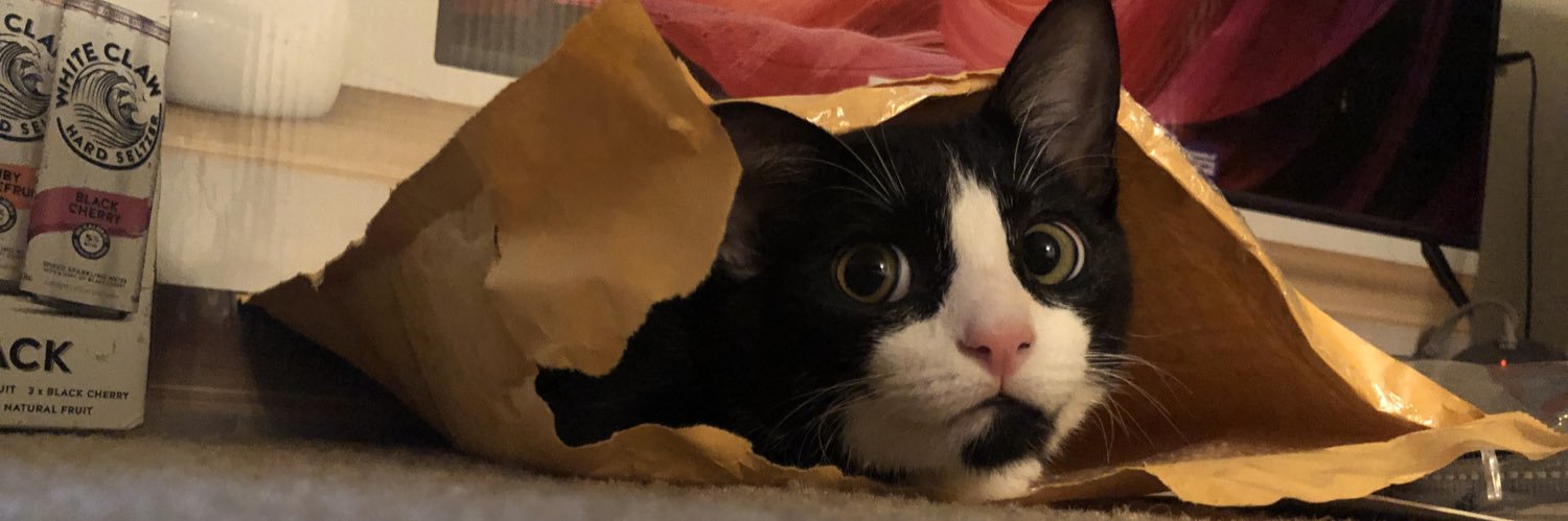 saffybby's profile banner image