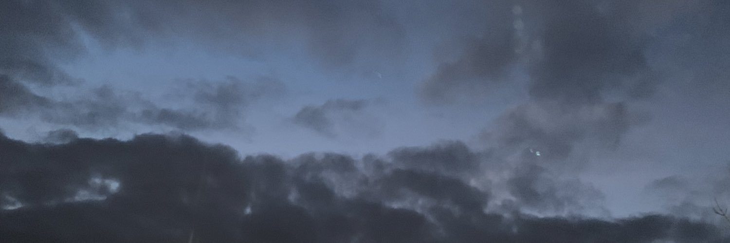 sandrasaric's profile banner image