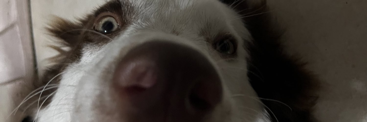 lujang__'s profile banner image