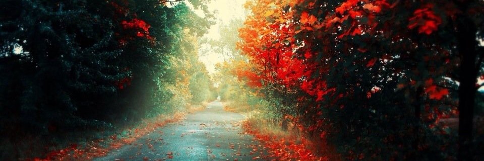 ismail_shady's profile banner image
