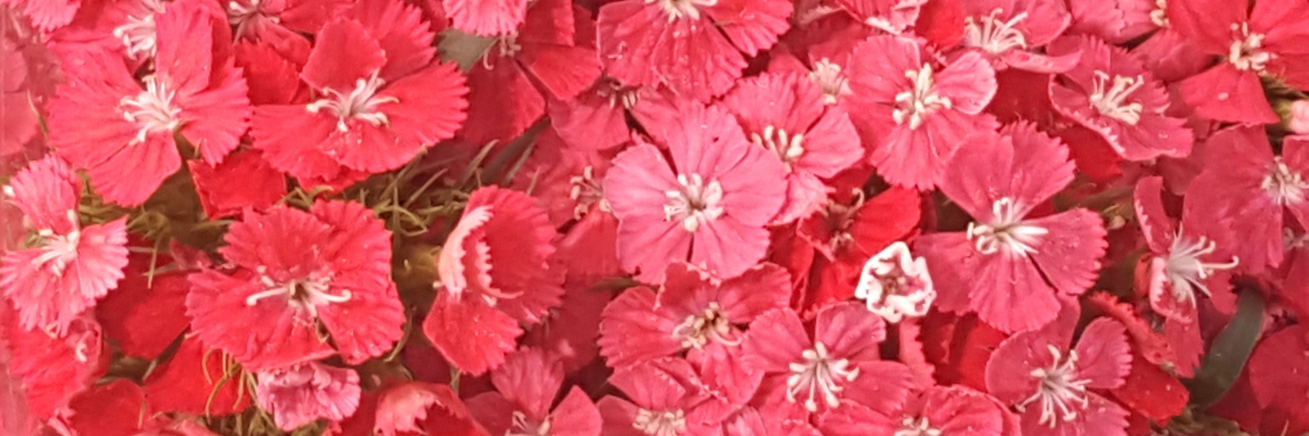 Beatpma's profile banner image