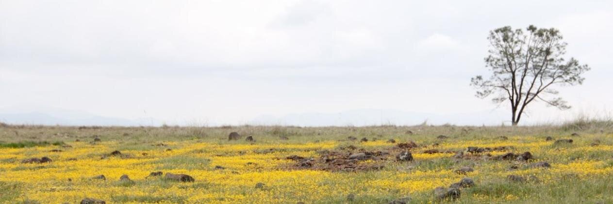 ValleyEdition's profile banner image