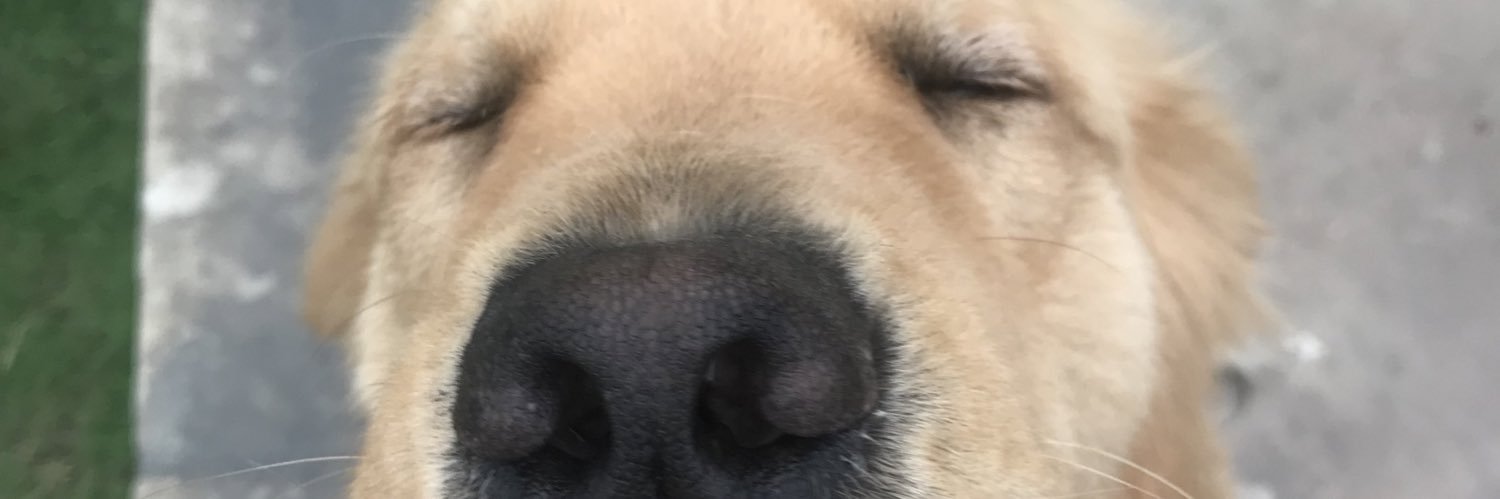 alessssandra97's profile banner image