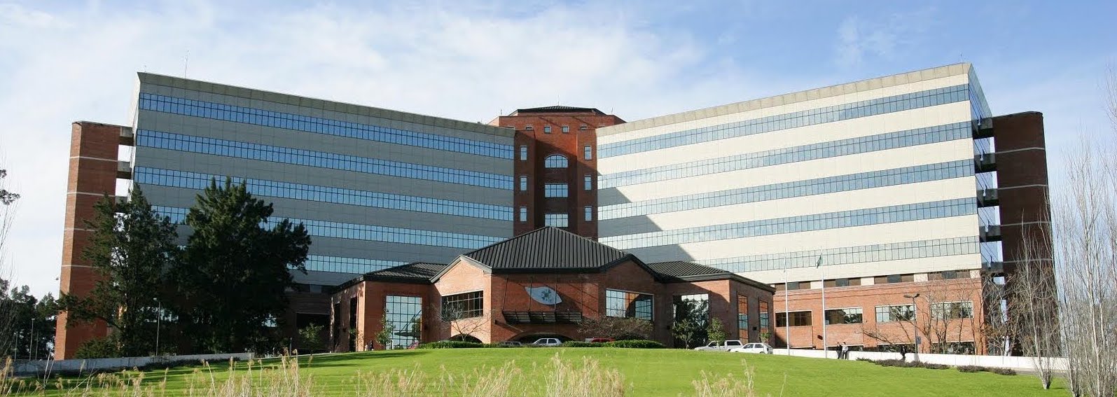 Pedro Martinez FACS banner