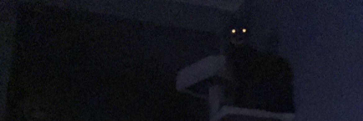 langed_'s profile banner image