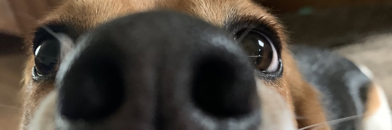 parkinsane's profile banner image