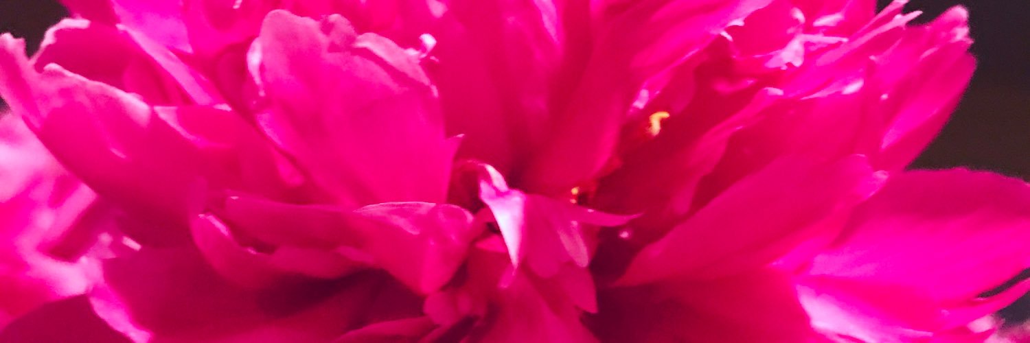 Kerrinynj's profile banner image