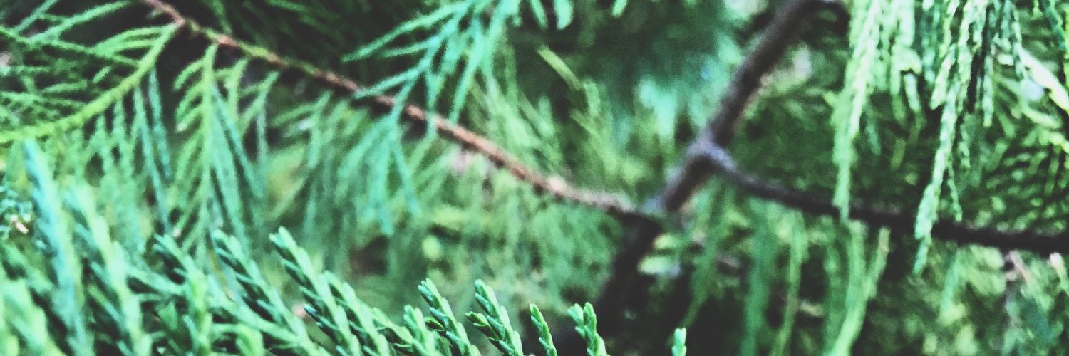 AmySweat2's profile banner image