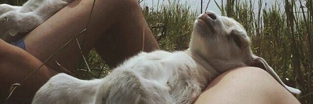 lilsection8hoe's profile banner image