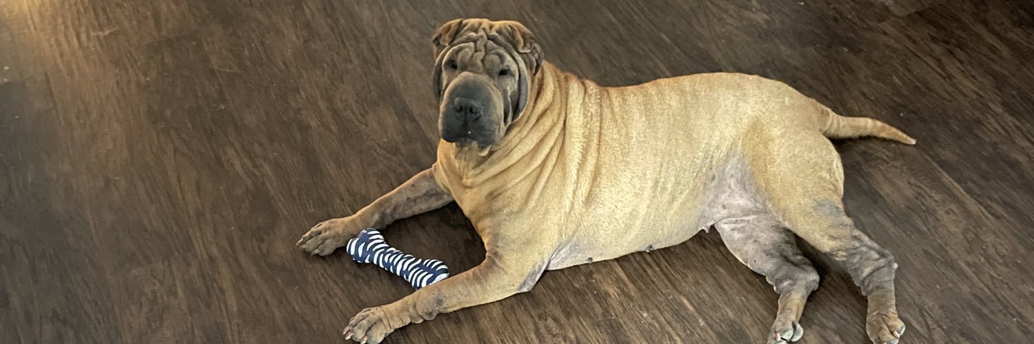 MayorOfCanton banner