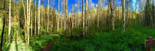 adambress Profile Banner