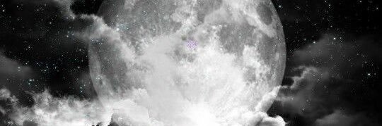 sfounce94's profile banner image