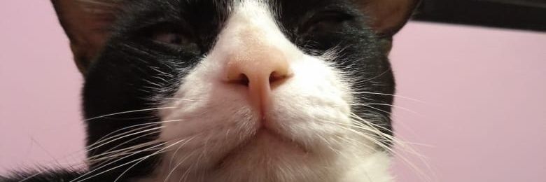 AleSpinettaCadi's profile banner image