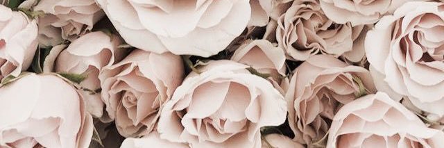 nuliajelson's profile banner image