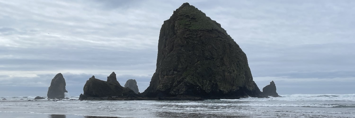 Idhwanit's profile banner image