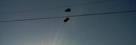 David Surprenant banner