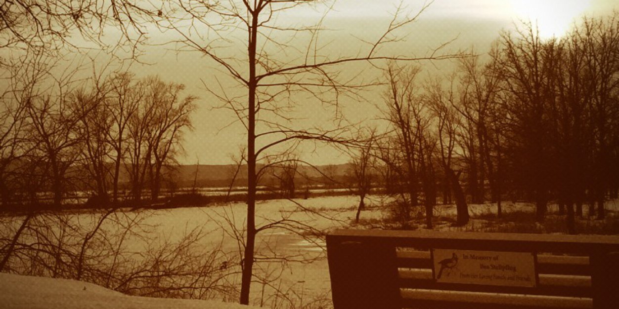 AustinStelpflug's profile banner image