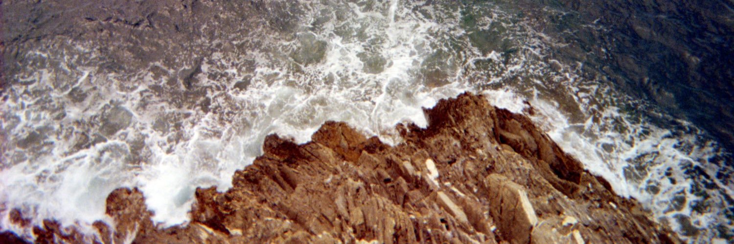 andrew sexton banner