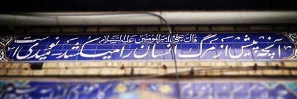 Spinooza Profile Banner