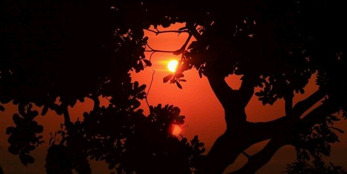 argianpocong's profile banner image