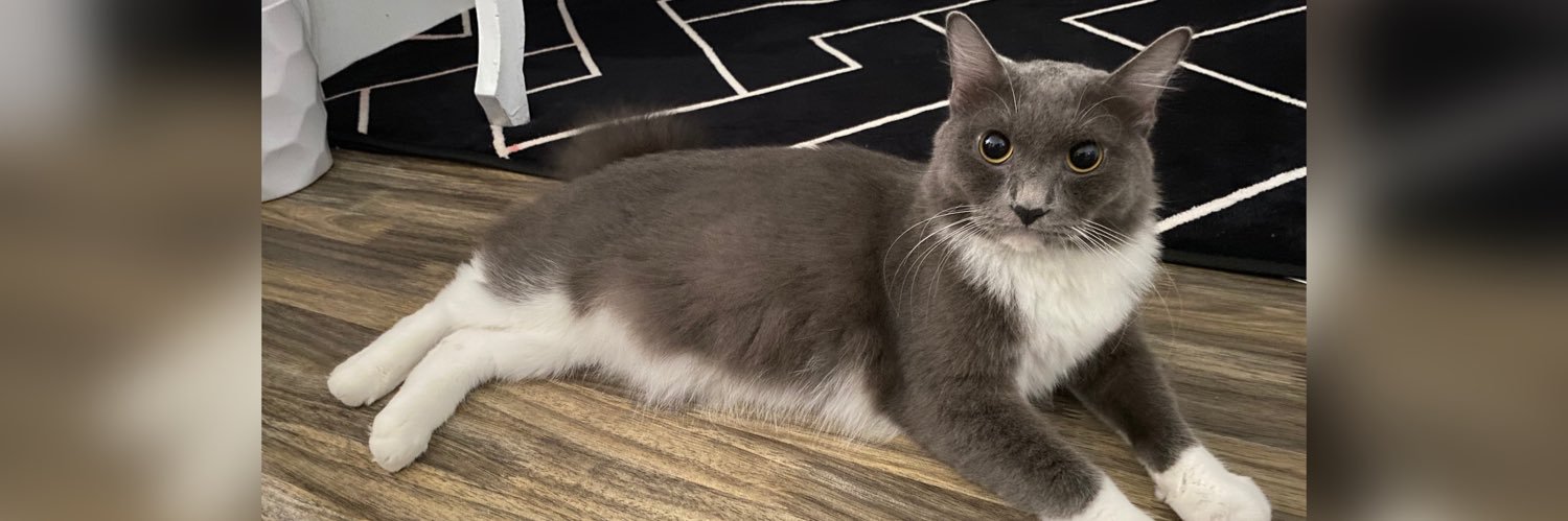 nadmunchie's profile banner image