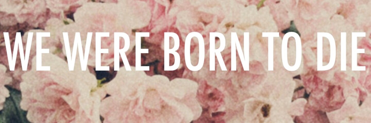 itsmrscitrics's profile banner image