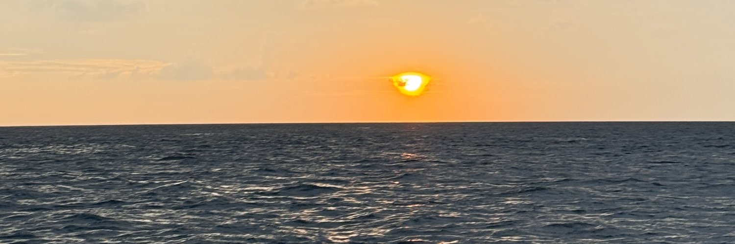 naseyru's profile banner image