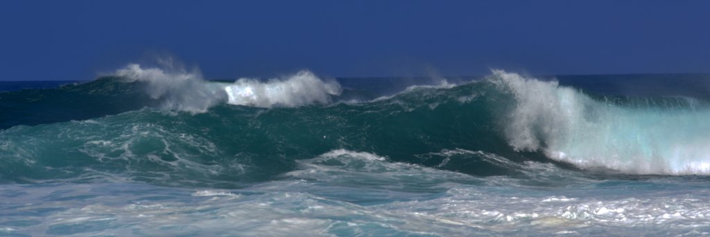 oceanfeed's profile banner image
