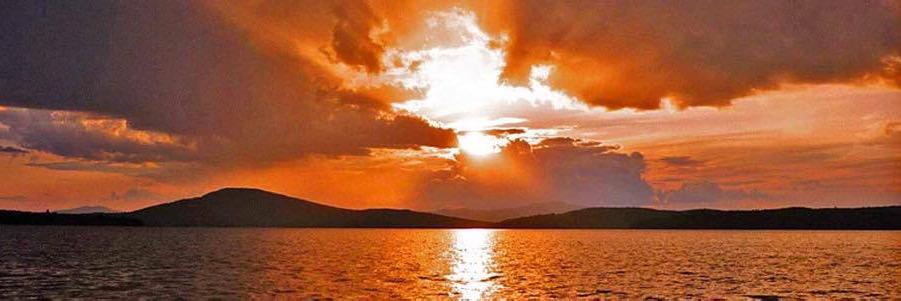 Celess Tyrell banner