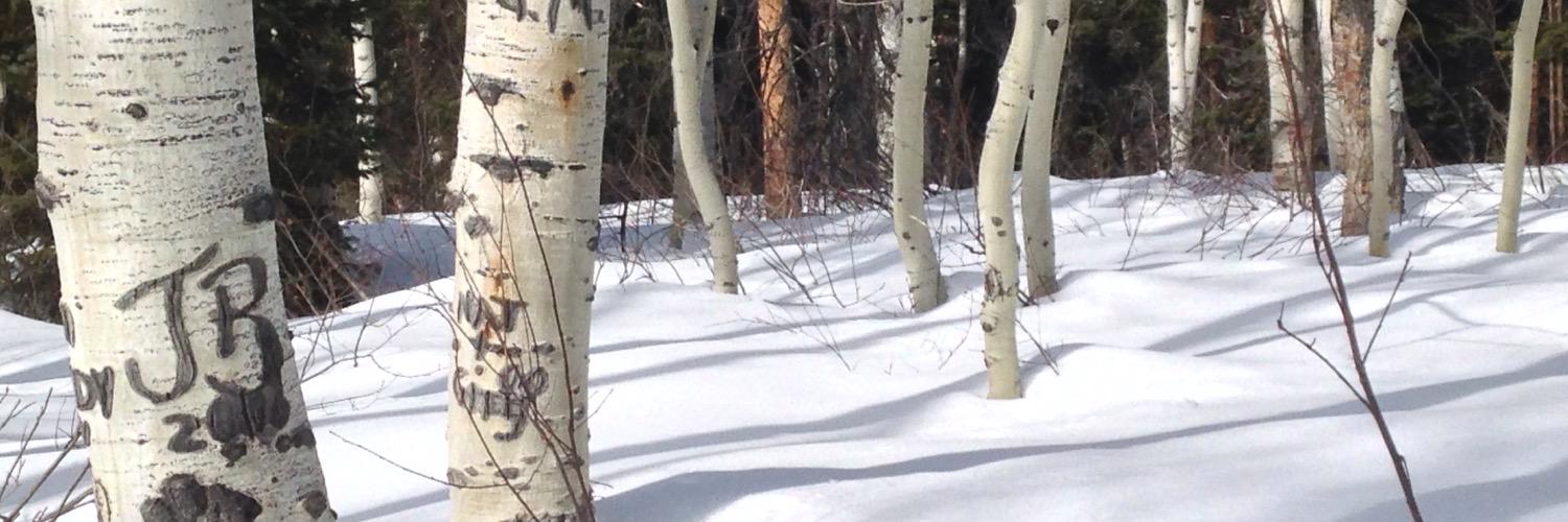 CAVEMANDPT's profile banner image