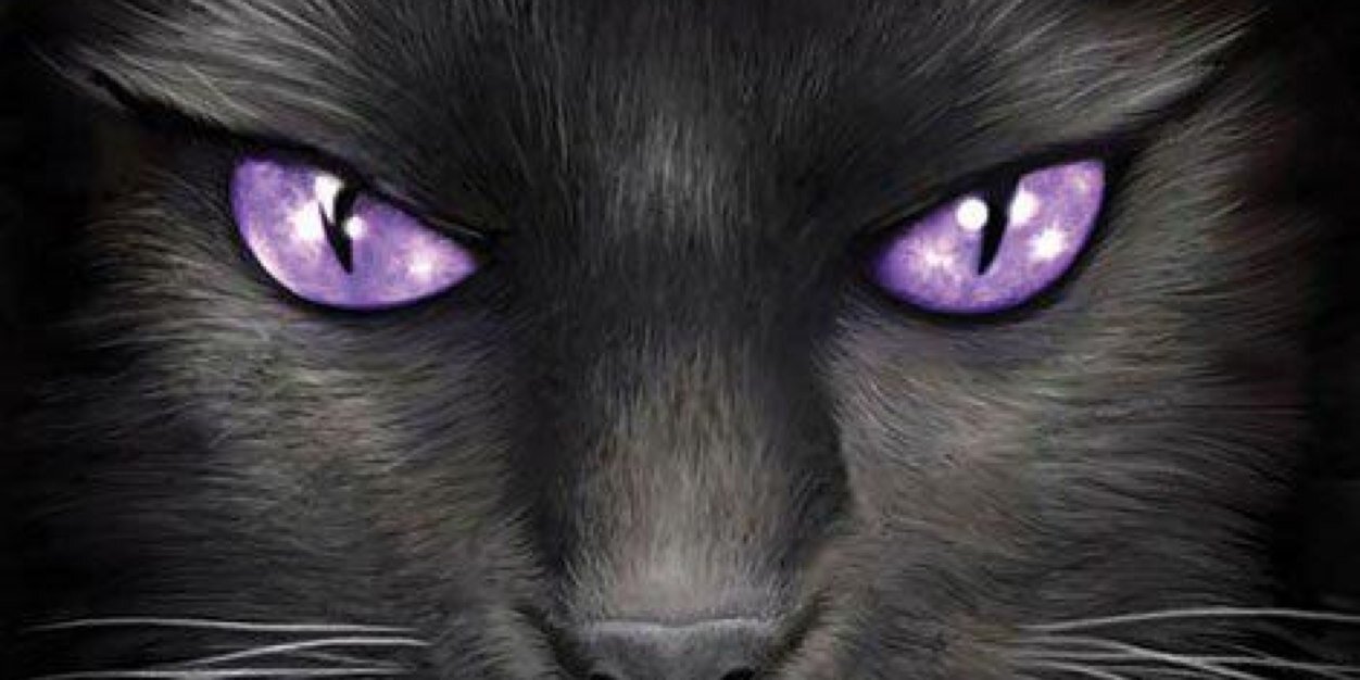  Fellbande  banner
