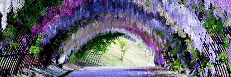 s__mnxs's profile banner image