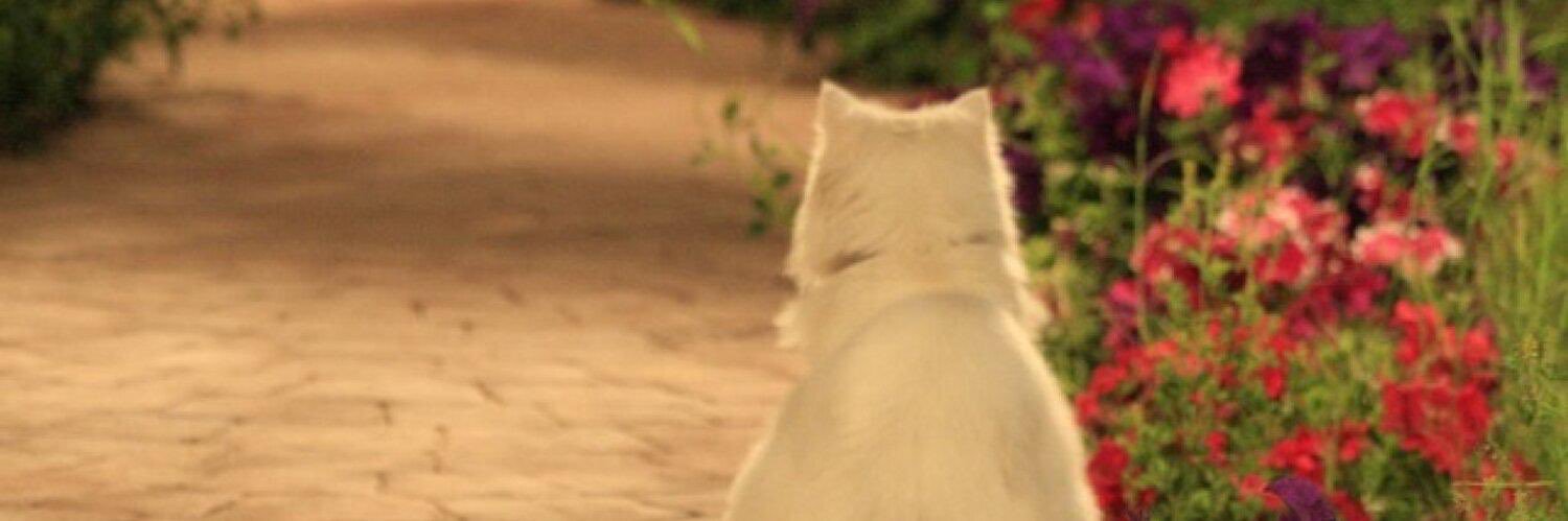 BarbiQTR's profile banner image