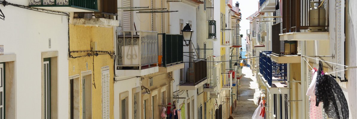 Monique♦️ banner