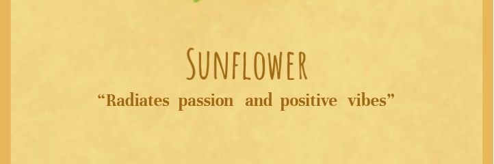 MsMwamba01's profile banner image