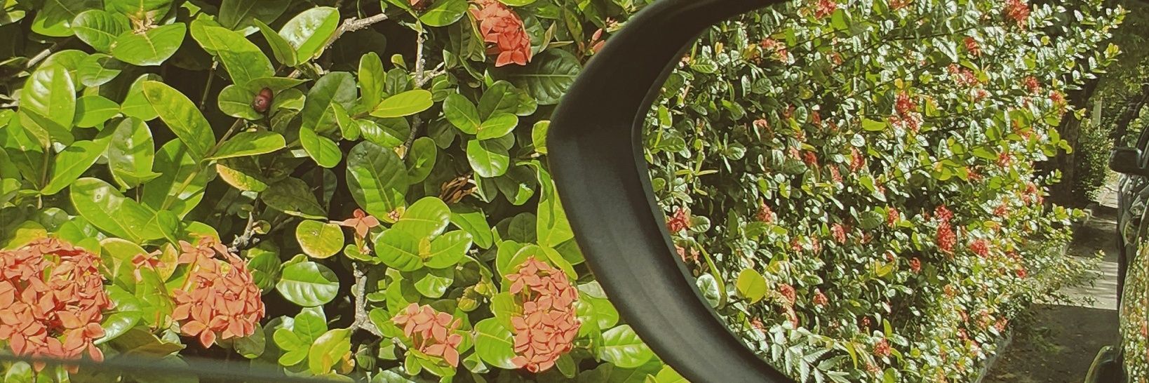 wah_'s profile banner image